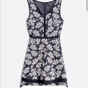 Aria Split Neck Piped Knit Dress (Stitch Fix)